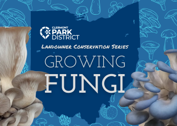 Landowner Conservation series: Growing Fungi